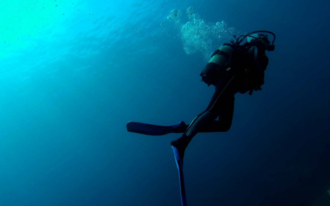 Bautizo de buceo y snorkel nocturno
